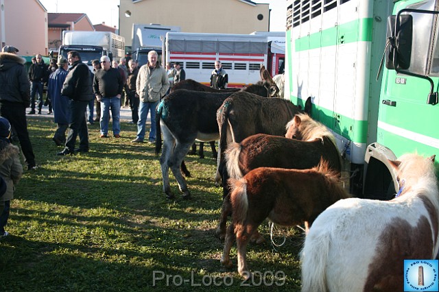 In prà della Antica Fiera di Arsego (9).JPG